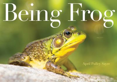 Being frog  cover image cdn