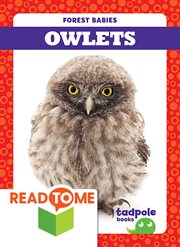 Owlets cover image cdn
