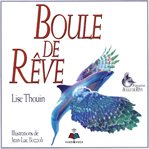 Boule de rêve cover image cdn
