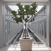 271-rsp cover image cdn