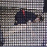 Ambien music 10mg: the wokest sleep cover image cdn