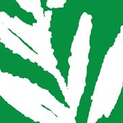 Green tour ep cover image cdn