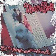 Let me play with your poodle cover image cdn