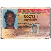 Roots ii cover image cdn