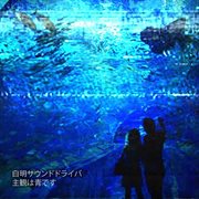 Subjectivity is blue cover image cdn