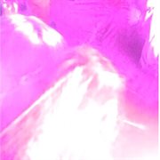 Universal foundation centering loose objectives cover image cdn