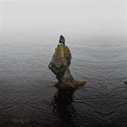 At the peak cover image cdn