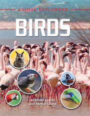 Birds cover image cdn
