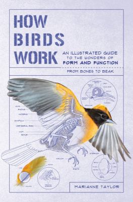 How birds work : an illustrated guide to the wonders of form and function from bones to beak cover image