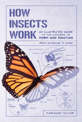 How insects work : an illustrated guide to the wonders of form and function : from antenna to wings  cover image cdn