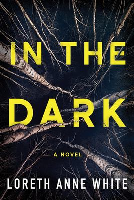 In the dark  cover image cdn
