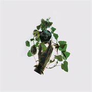 An angel in alliance with falsehood cover image cdn