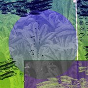 Geodesists cover image cdn