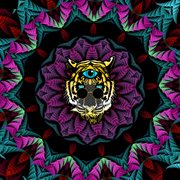 Manufactured moments cover image cdn