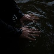 Reflection cover image cdn