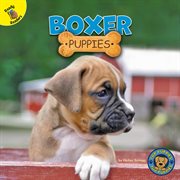Boxer puppies cover image cdn