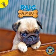 Pug puppies cover image cdn