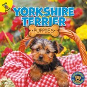 Yorkshire terrier puppies cover image cdn