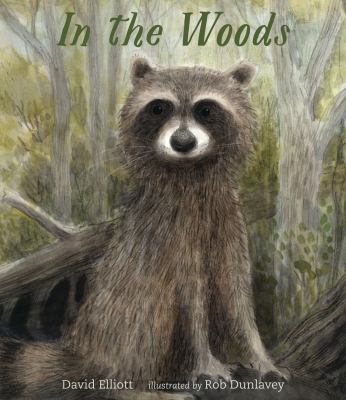 In the woods  cover image cdn