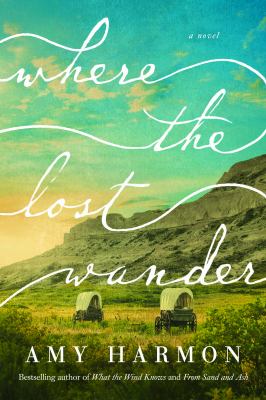 Where the lost wander cover image