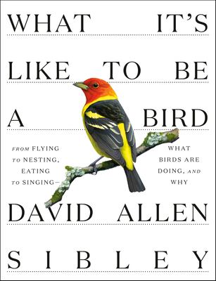 What it's like to be a bird : from flying to nesting, eating to singing -- what birds are doing, and why cover image