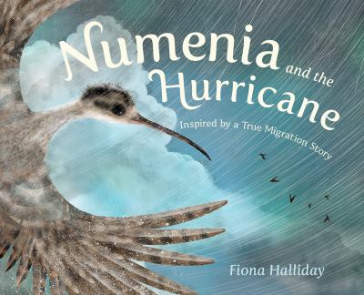 Numenia and the hurricane : inspired by a true migration story  cover image cdn