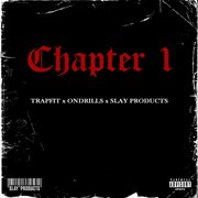 Chapter 1 cover image cdn