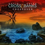 Crossover cover image cdn