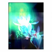 Felino de la diablo cover image cdn