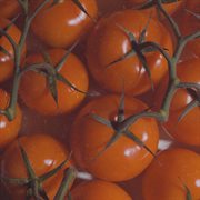 Mature cover image cdn