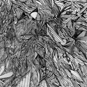 Modern medicine has failed my mother cover image cdn