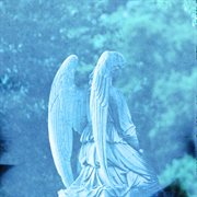 Shrine cover image cdn