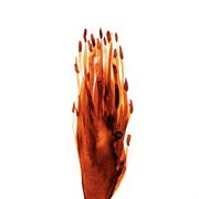 Trackz cover image cdn