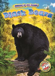 Black bears cover image cdn
