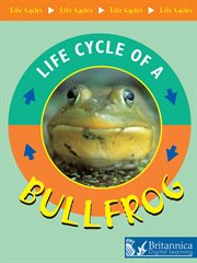 Bullfrog cover image cdn
