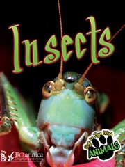 Insects cover image cdn