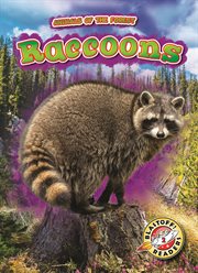Raccoons cover image cdn