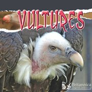 Vultures cover image cdn