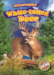 White-tailed deer cover image cdn