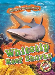 Whitetip reef sharks cover image cdn