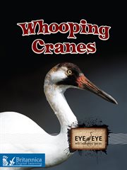 Whooping cranes cover image cdn
