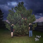 1000 gecs cover image cdn