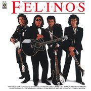 Los felinos cover image cdn