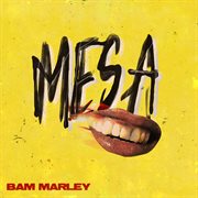 M.e.s.a. part 1 cover image cdn