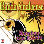 Mambos con banda cover image cdn