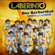 Qué barbaridad: corridos y rancheras cover image cdn