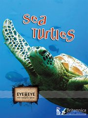Sea turtles cover image cdn