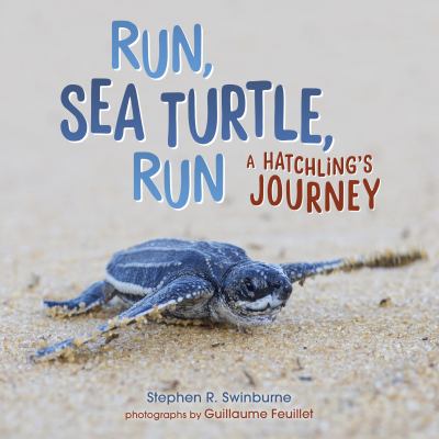 Run, sea turtle, run : a hatchling's journey  cover image cdn