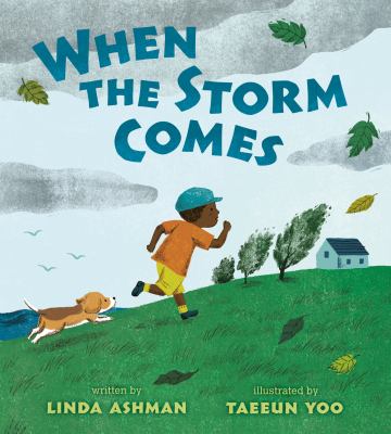 When the storm comes  cover image cdn