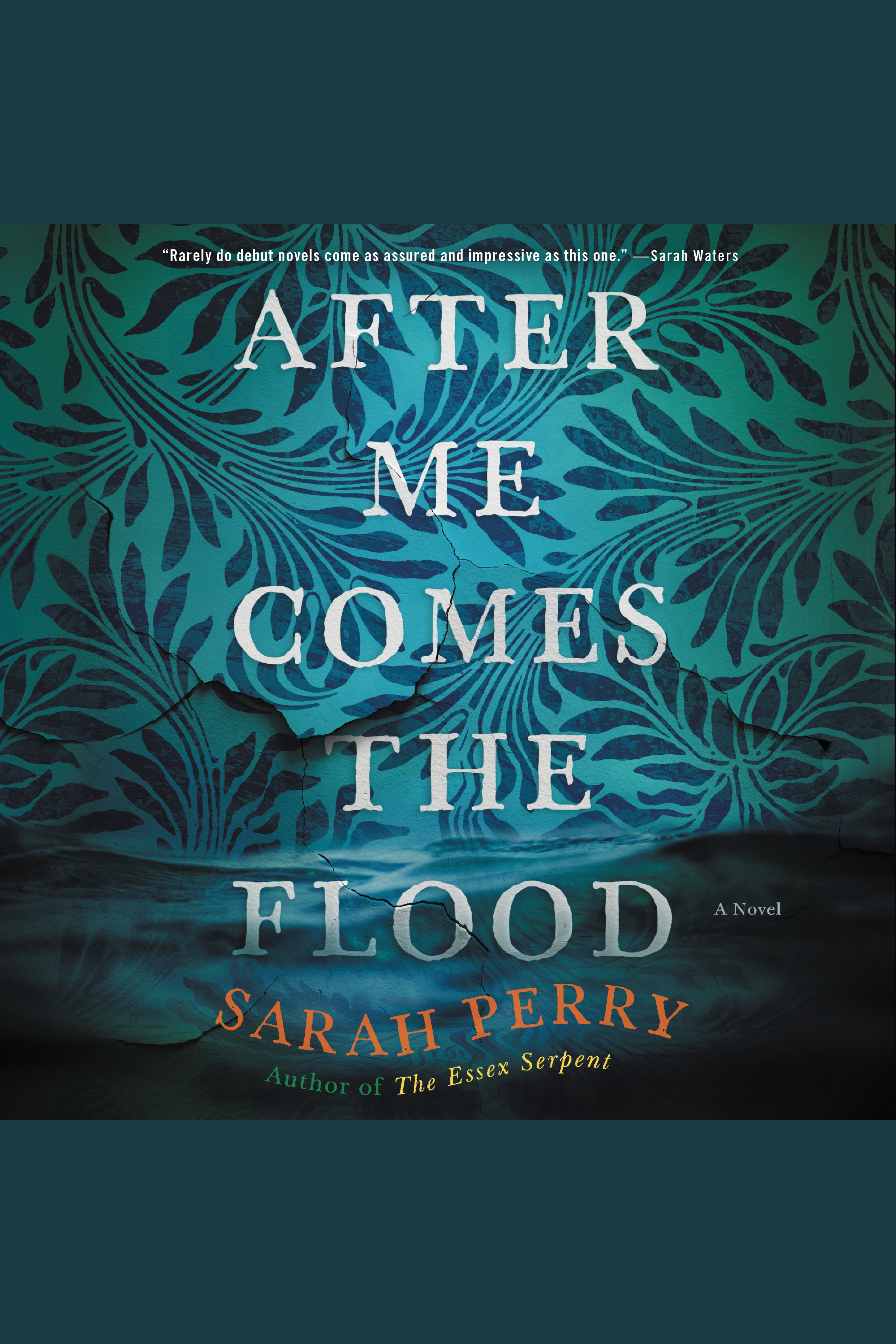 After Me Comes the Flood cover image cdn